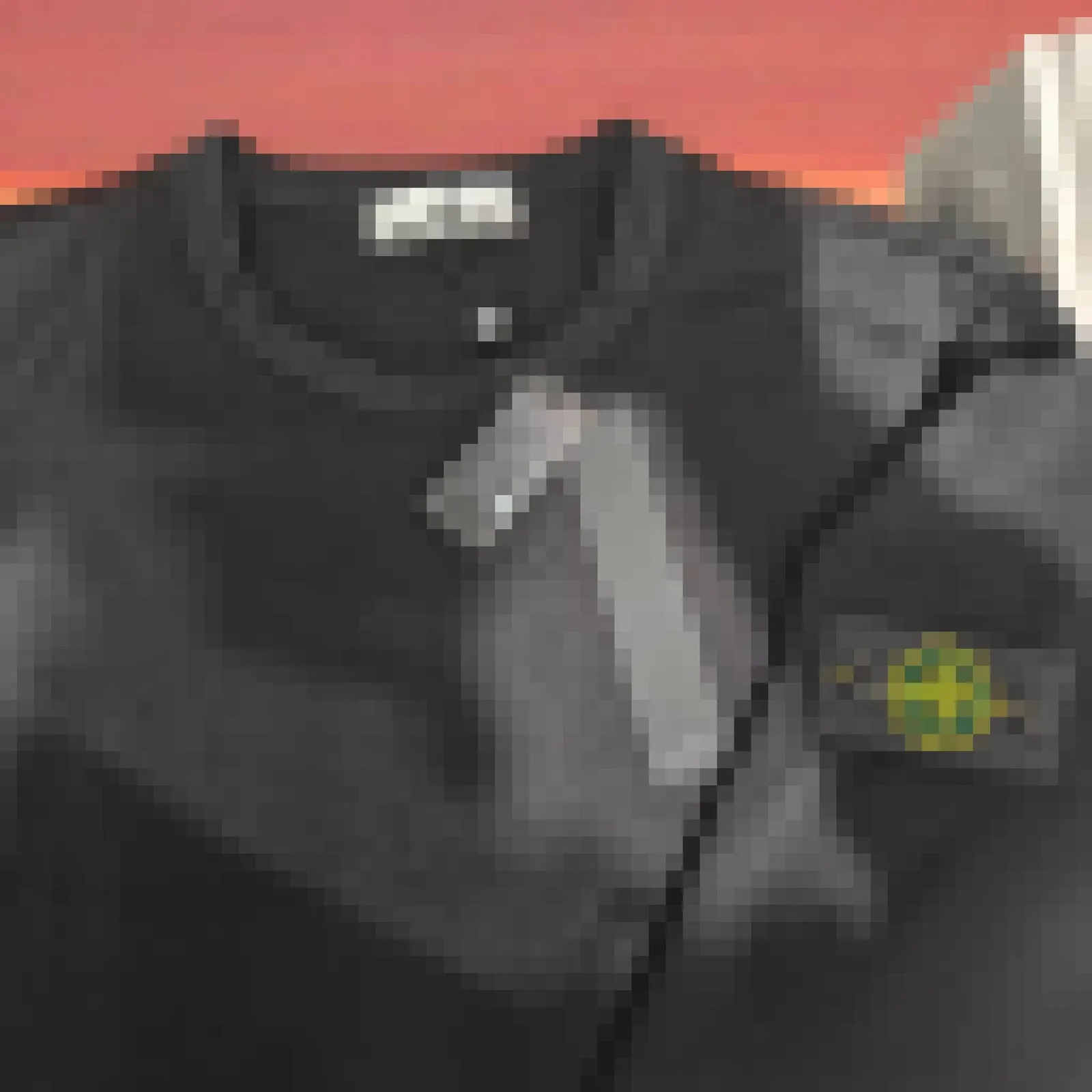 Sweat Stone Island
